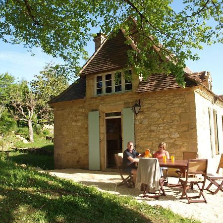 Cozy Cottage In Aquitaine With Private Swimming Pool Peyzac-le-Moustier Ngoại thất bức ảnh