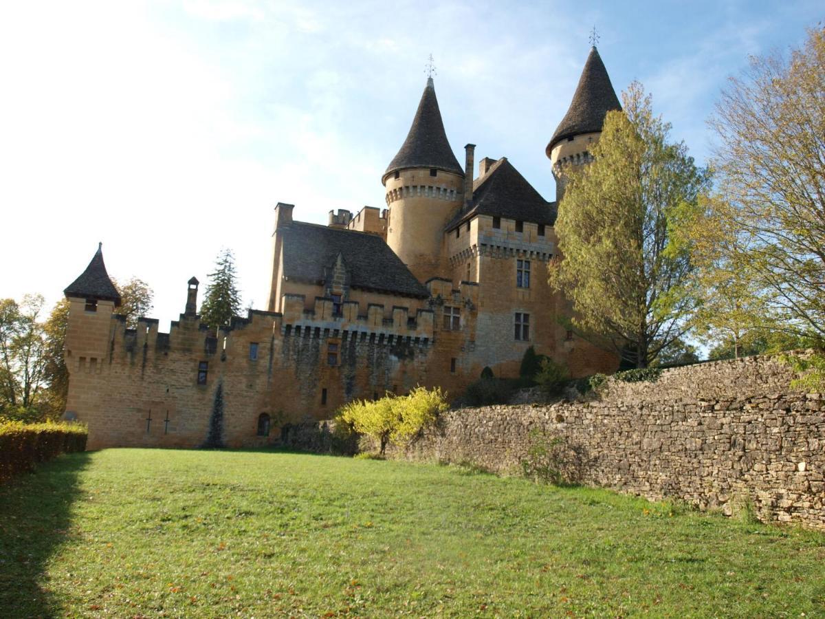 Cozy Cottage In Aquitaine With Private Swimming Pool Peyzac-le-Moustier Ngoại thất bức ảnh