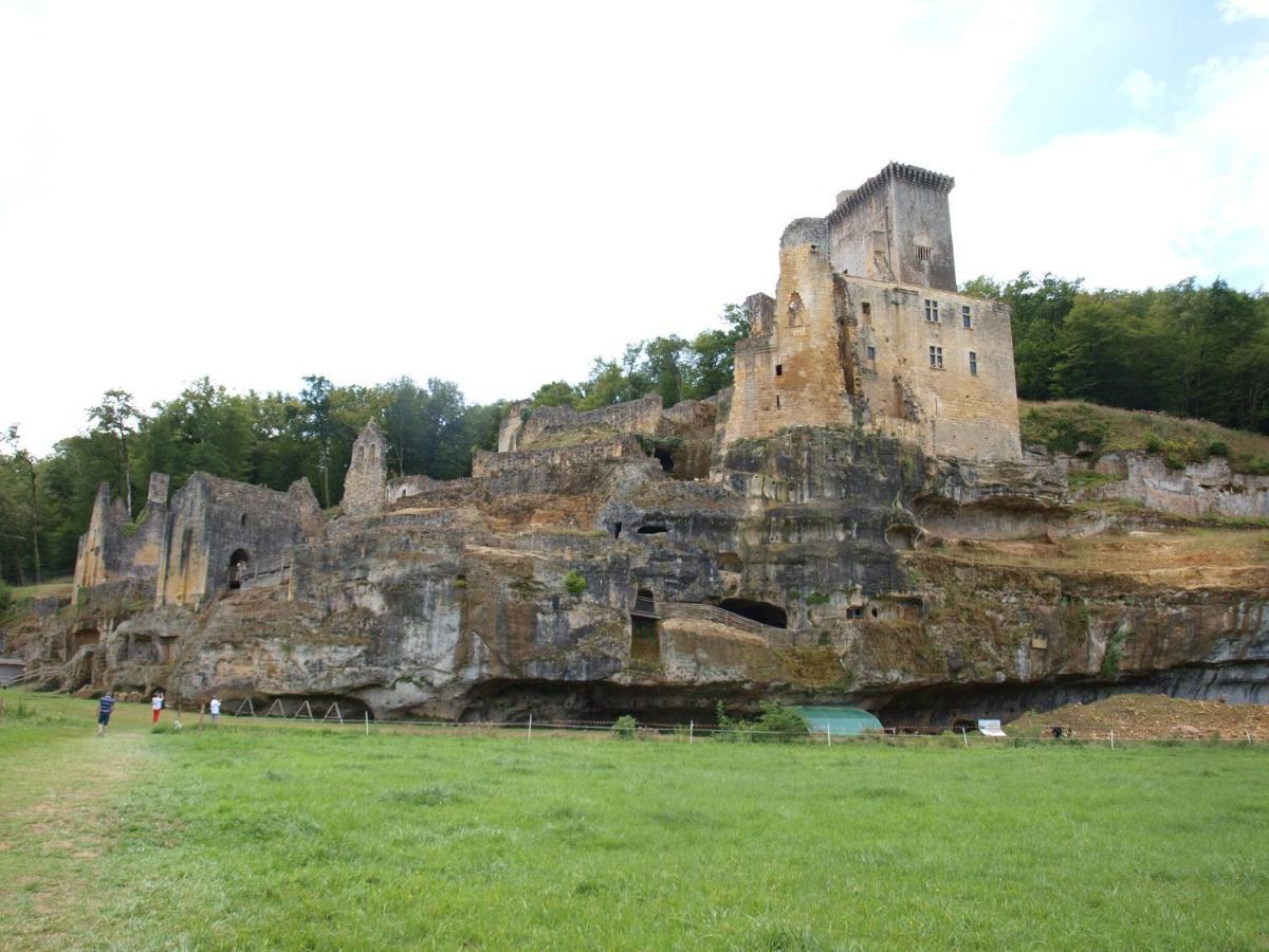 Cozy Cottage In Aquitaine With Private Swimming Pool Peyzac-le-Moustier Ngoại thất bức ảnh
